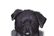 55 Dog Breeds Popular in USA, an Animal Illustration by Dneprstock (Thumbnail 12 of 14)