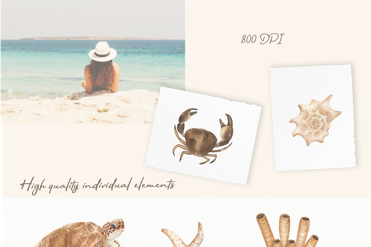 Watercolor ocean life, an Animal Illustration by ViolettaKh (Photo 3 of 9)