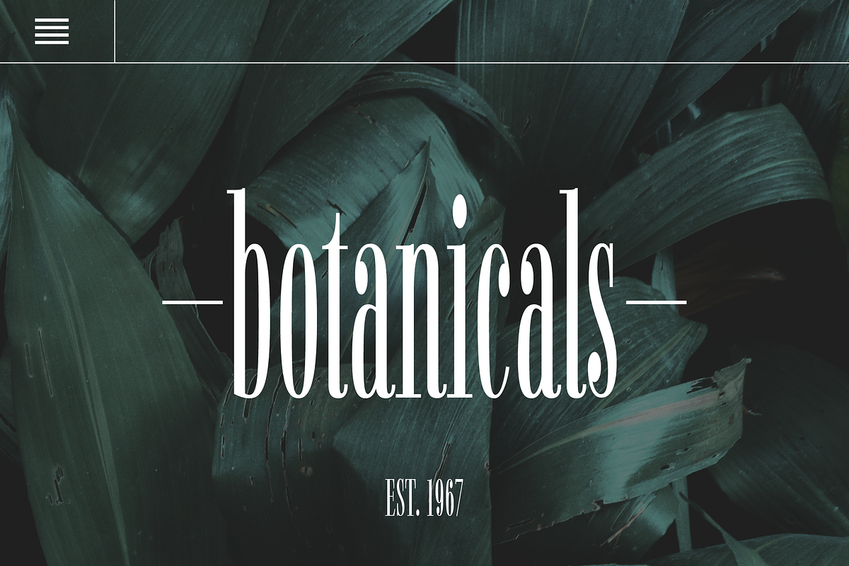 Fiona Pro Font Family (21 Styles), a Serif Font by Monday Type – Typefaces (Photo 7 of 7)