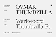 Kalfs Text sE, a Serif Font by silukEight (Thumbnail 5 of 10)