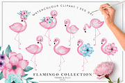 Bestsellers Graphics Bundle, an Animal Illustration by Tommy & Tilly Design (Thumbnail 17 of 21)