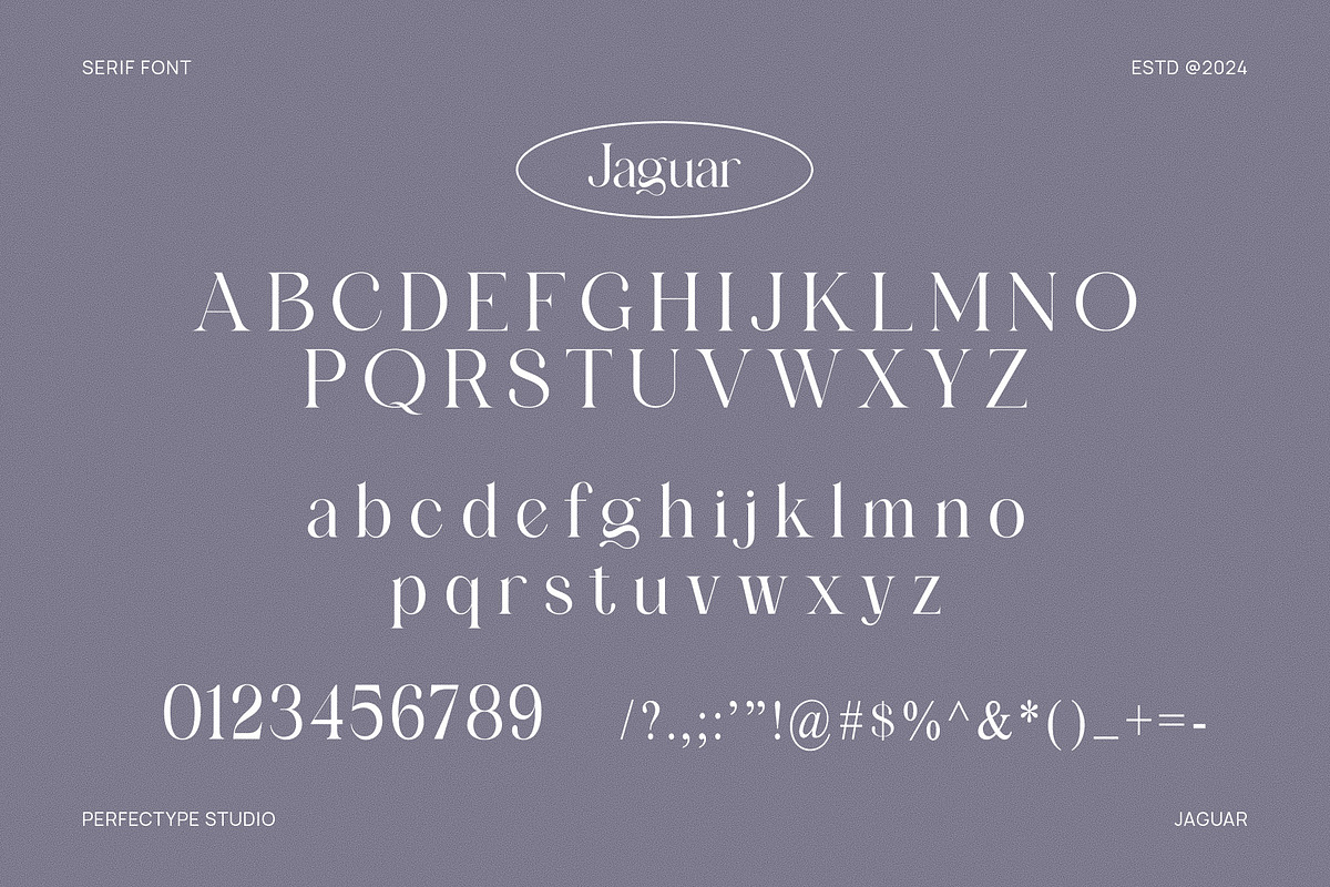 Jaguar Elegant Serif Font Typeface, a Serif Font by Perfectype (Photo 6 of 6)