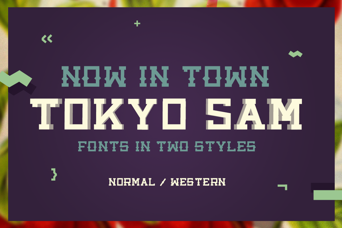 Tokyo Sam - Fonts in two styles -50%