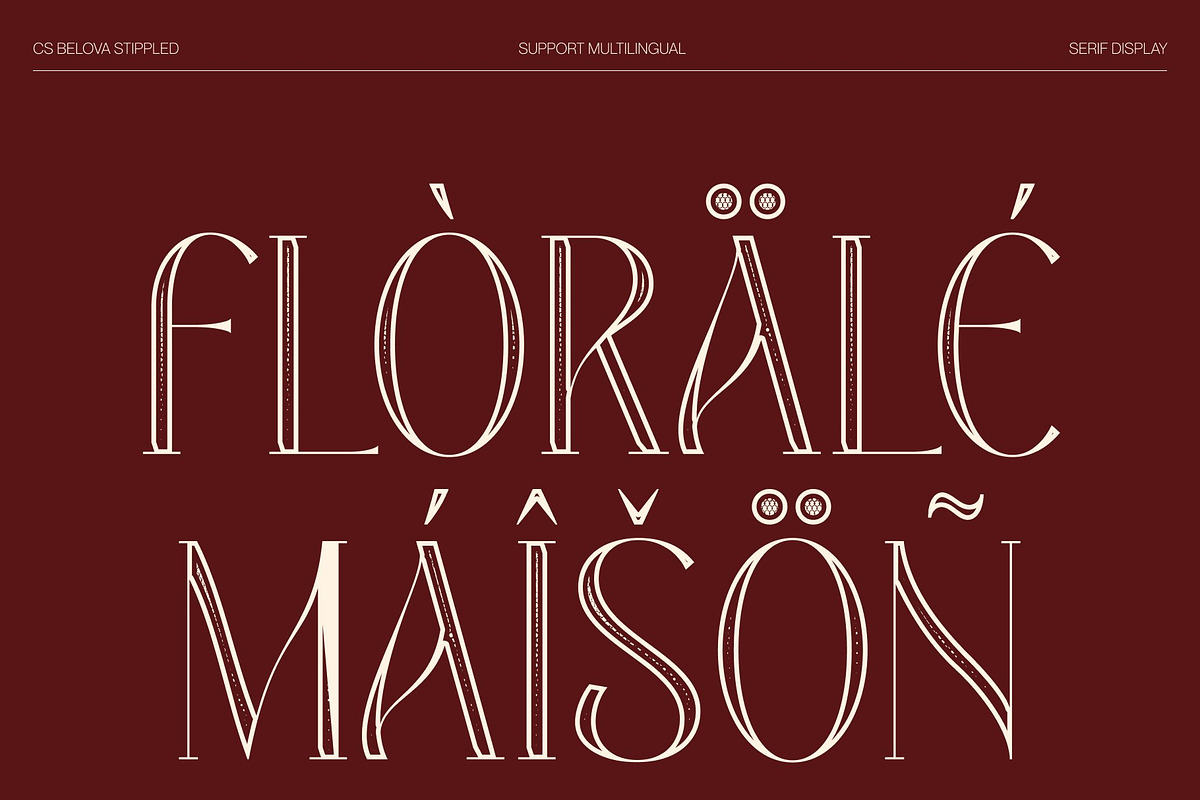 CS Belova Stippled, a Serif Font by Craft Supply Co. (Photo 7 of 8)