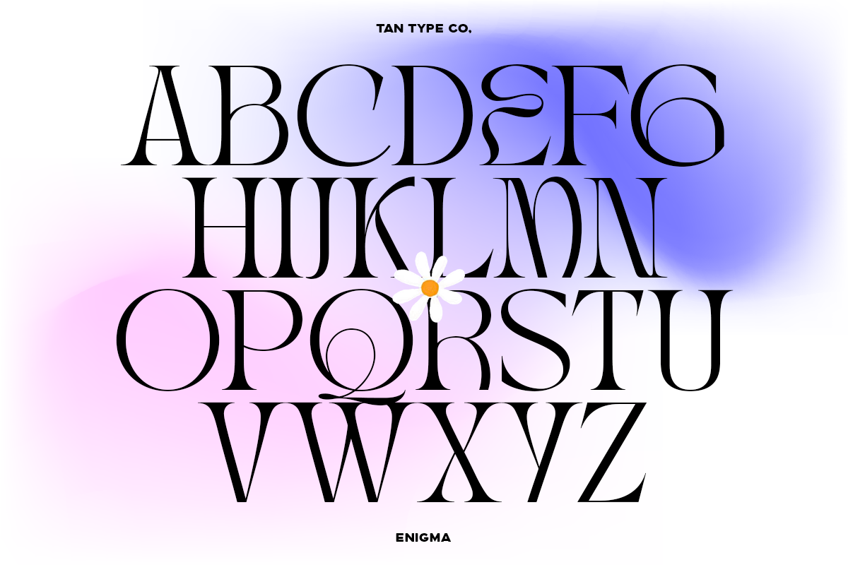 TAN - ENIGMA, a Serif Font by TanType (Photo 7 of 16)