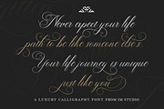 Balgitten Script, a Script Font by IM Studio (Thumbnail 7 of 8)