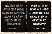 Skateparx - Typeface, a Font by The Branded Quotes (Thumbnail 7 of 9)
