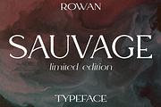 Rowan typeface - 116 styles & script, a Serif Font by VP Fonts (Thumbnail 9 of 18)
