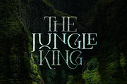 Kefago Font, a Serif Font by Grontype (Thumbnail 6 of 11)