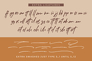 Sillii Willinn • A Versatile Font, a Script Font by azetypestudios.com (Thumbnail 10 of 11)