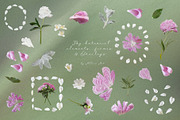 Petals Botanical Overlay Kit & Paper, an Object Graphic by Allure Art (Thumbnail 5 of 22)