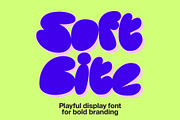 Soft Bite Display Font for Branding, a Handwritten Font by TypeTreat (Thumbnail 9 of 9)