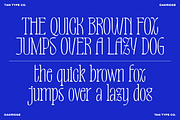 TAN-OAKRIDGE, a Sans Serif Font by TanType (Thumbnail 6 of 10)