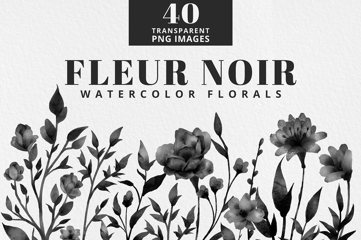Fleur Noir - Black Watercolor Floral, an Illustration by Brandi Lea Designs (Photo 1 of 9)