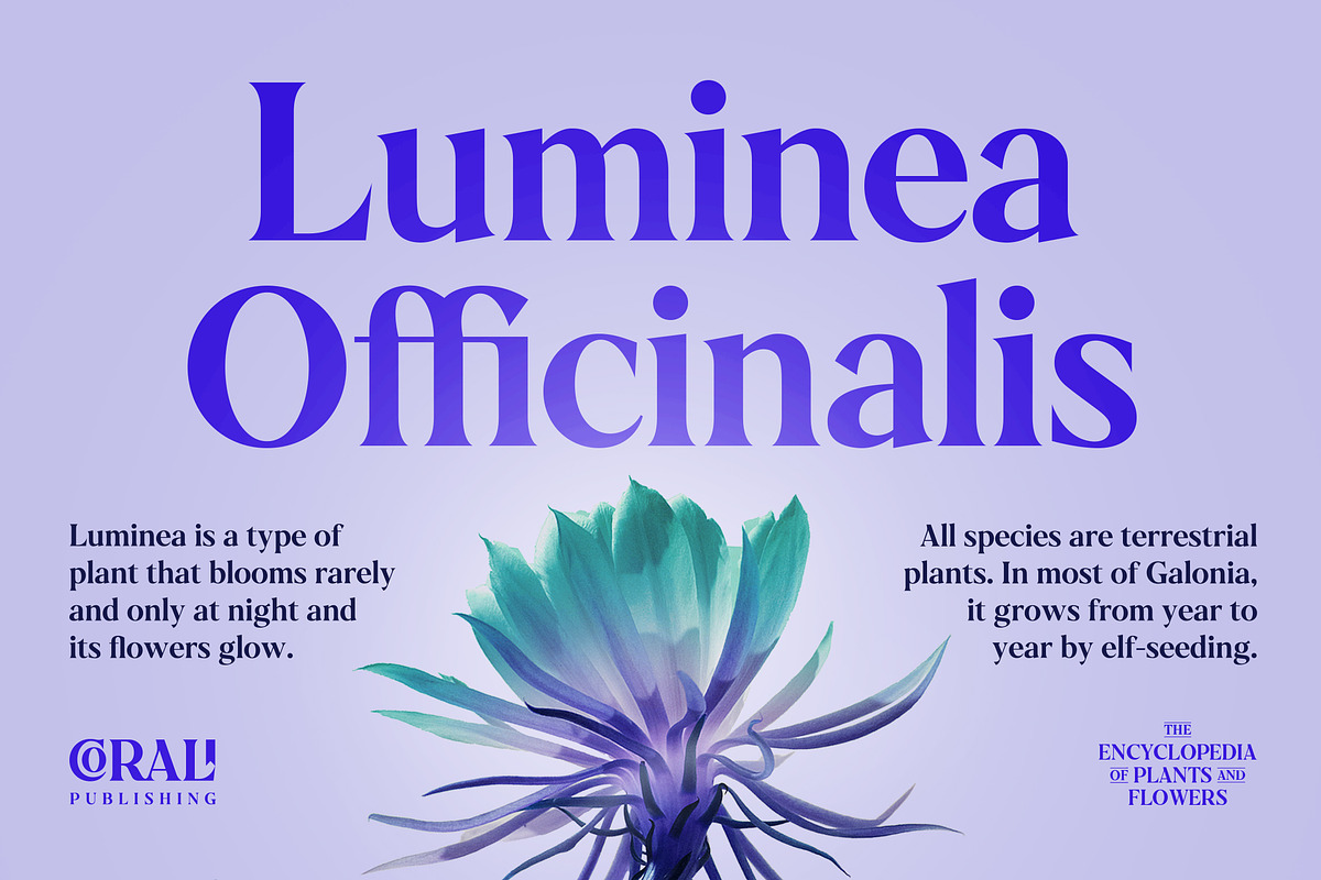 Galonia Type, a Serif Font by Dopestype (Photo 2 of 13)