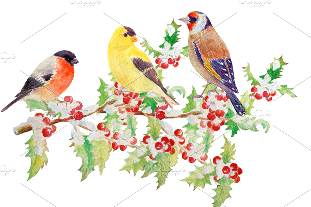 Watercolor Goldfinch Bullfinch preview 2