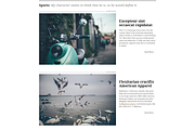 Christopher-Magazine WordPress Theme, a WordPress Template by SiloCreativo (Thumbnail 5 of 6)