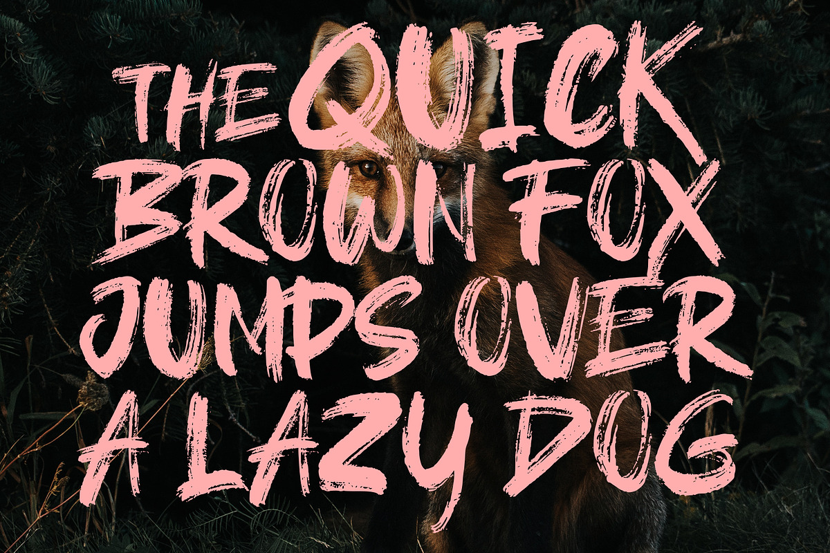 Brushield | Handwritten brush font preview 2