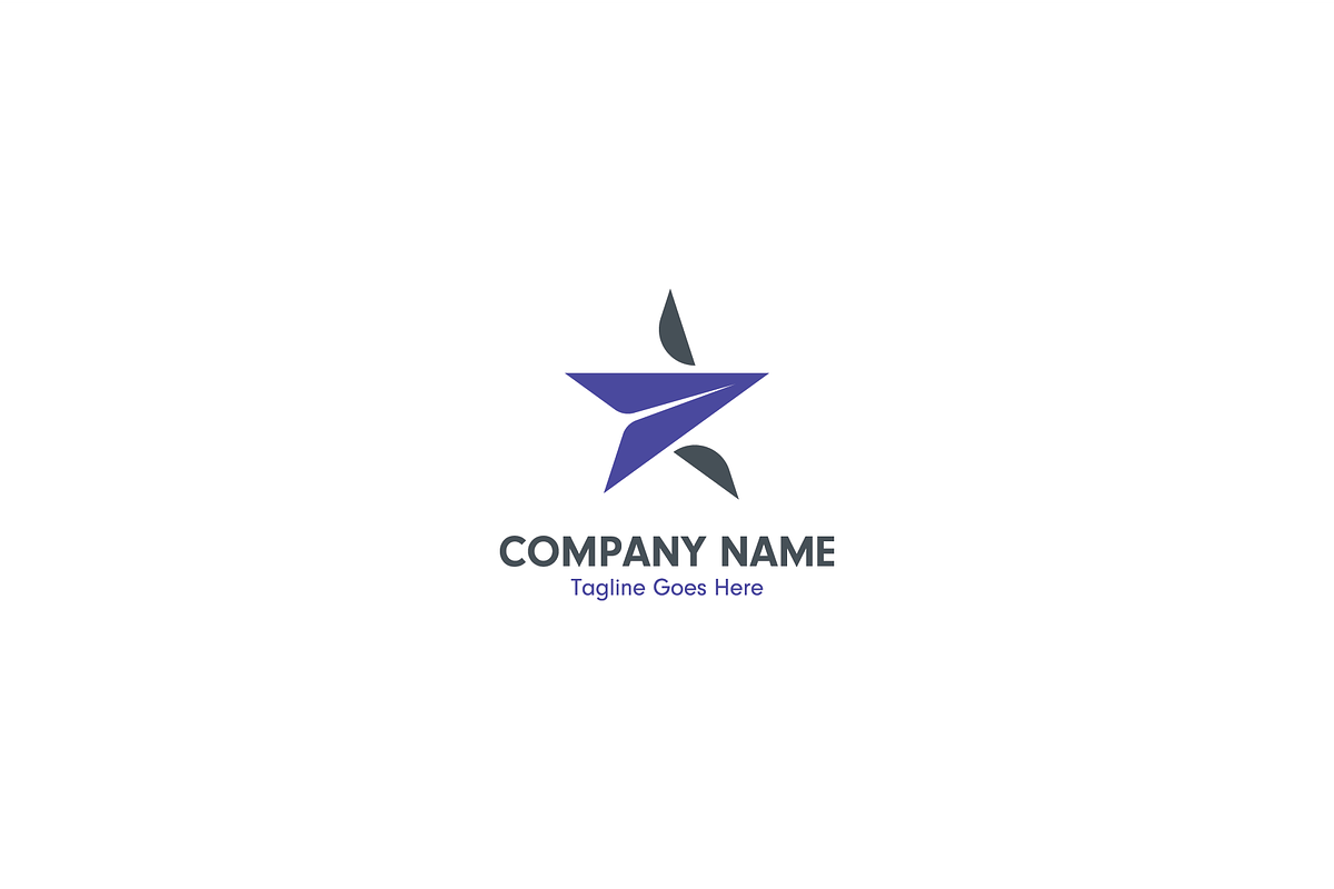 Star with Rocket Logo, a Branding & Logo Template by Maryam Design Studio (Photo 2 of 8)