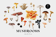 Mushrooms illustrations. Fungi set, a Food Illustration by Diana Askarova Art (Thumbnail 1 of 6)