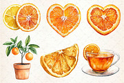 Watercolor Citrus Orange Clipart, an Illustration by Dream Creation (Thumbnail 5 of 6)