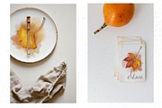 Autumn leaves set, a Decorative Illustration by AfieArt (Thumbnail 7 of 7)