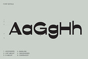 Corsage - Reverse Contrast Font, a Serif Font by Brainwaves.Studio (Thumbnail 3 of 9)