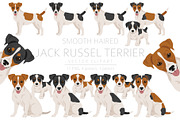Jack Russel Terrier smooth-haired, an Animal Illustration by pet design shop (Thumbnail 1 of 6)