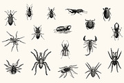 Insects - Vintage Illustrations, an Illustration by Graphic Goods (Thumbnail 9 of 10)