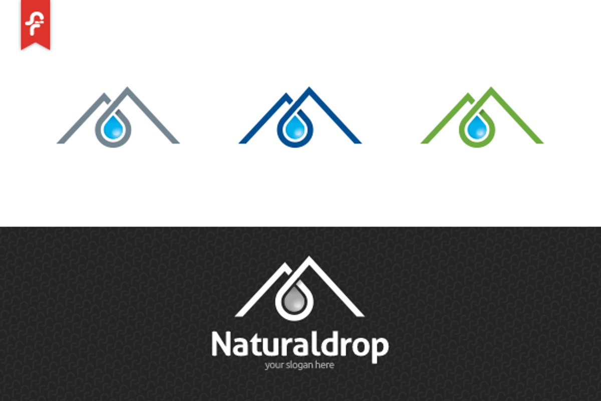 Natural Drop Logo, a Branding & Logo Template by ft.studio