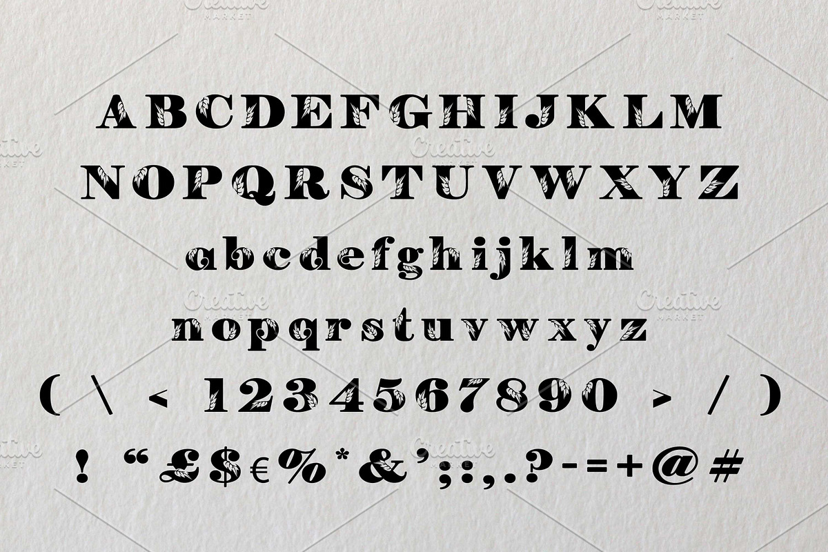 Vody, a Font by Digital Typeface Studio (Photo 2 of 7)