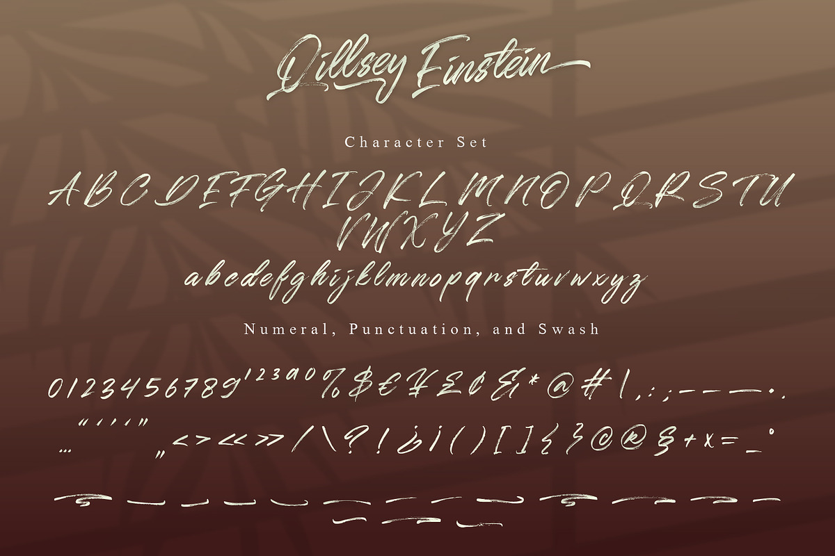 Qillsey Einstein - Handbrush, a Script Font by Monoco Type Foundry (Photo 5 of 12)