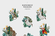 COSTA RICA — jungle animals, an Animal Illustration by Lana Elanor (Thumbnail 5 of 11)