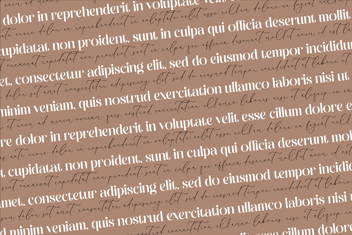 Raligosh Mendophelia Modern Font Duo, a Serif Font by Storytype Studio (Photo 3 of 15)