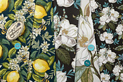 Lemons and Magnolia vector set, an Object Illustration by FleurArt (Thumbnail 11 of 11)