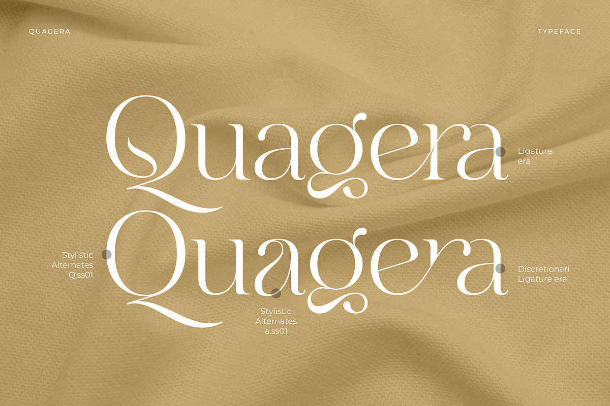 Quagera | Serif Font, a Serif Font by Digitype Studio (Photo 2 of 12)