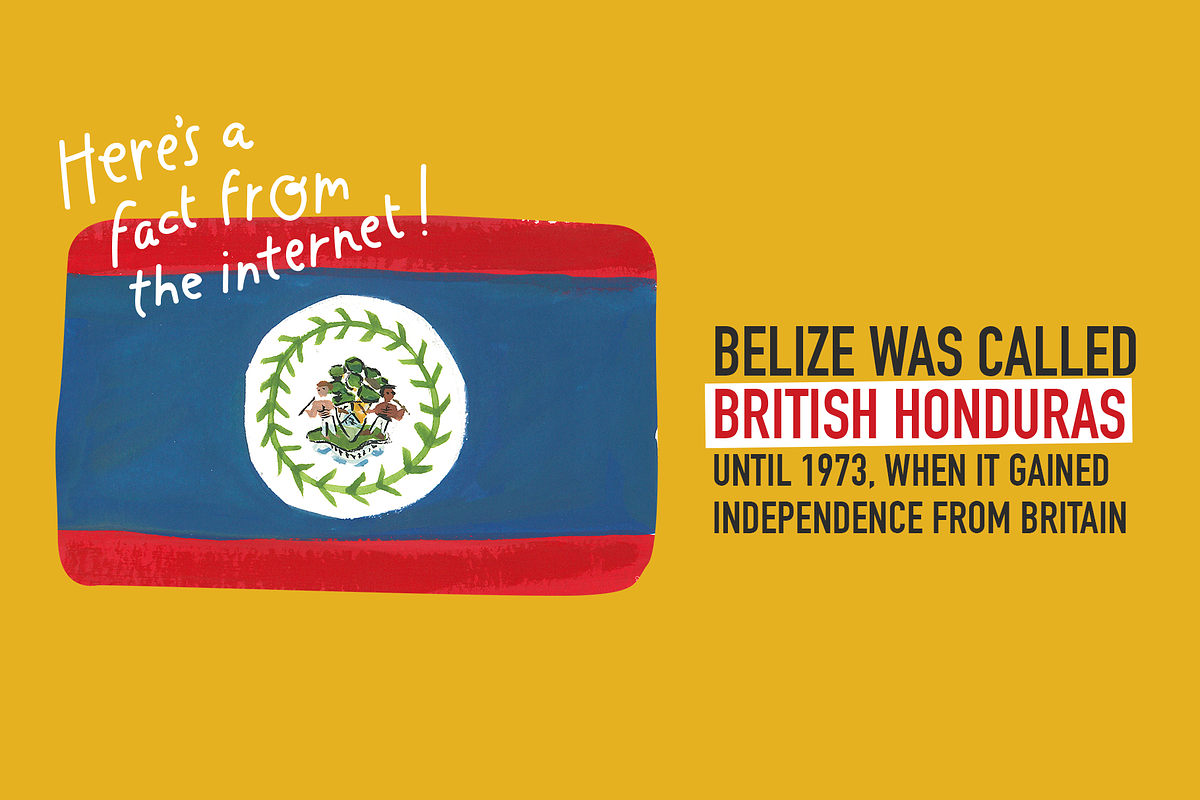 Hand Painted Flags of the Americas, an Illustration by Katrina Junio (Photo 2 of 8)