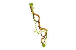 Liana branch. Twisted wild jungle, an Object Illustration by the8monkey