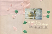 Scanned Confetti Paper Textures Pack, a Texture Graphic by Oksana Trygub (Thumbnail 1 of 17)