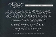Twilight - Textured Brush Script, a Script Font by HanzelSpace Studio (Thumbnail 8 of 8)