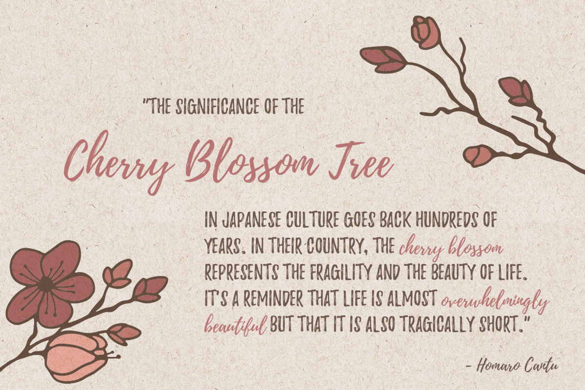 Hand Sketched Cherry Blossoms, a Decorative Illustration by By Kerri Ann (Photo 3 of 3)