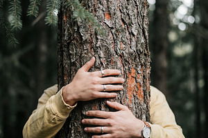 Person Hugging Large Tree Trunk, a Nature Photo by Virgo Studio