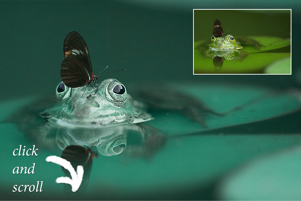 Nature Photoshop Actions, an Action Add-On by ArtPlanet (Photo 2 of 6)