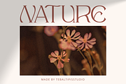 Mergian - Modern Serif, a Serif Font by tebaltipislab (Thumbnail 10 of 21)