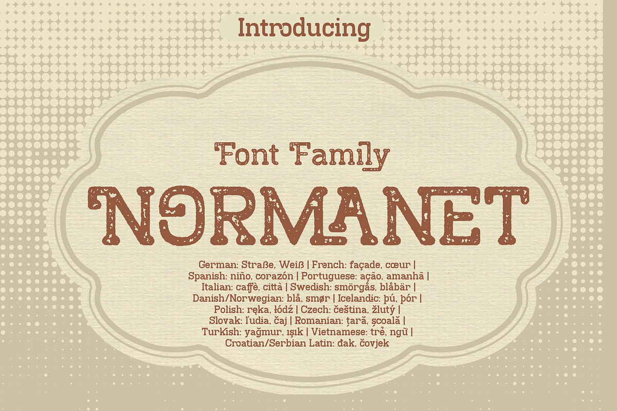 Normanet - Font Family, a Slab Serif Font by NDNL Studio (Photo 1 of 14)