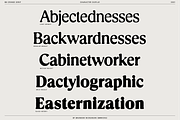 Cringe Serif, a Serif Font by Bnick (Thumbnail 2 of 13)