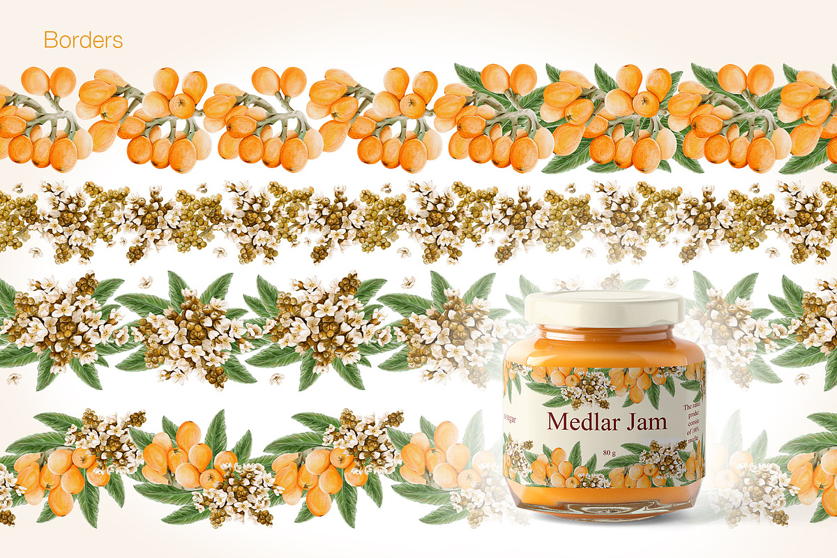 Loquat watercolor clip art, an Illustration by Alena Sid (Photo 12 of 15)