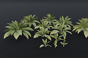 The Haran Bush, a Plants & Tree 3D Model by FuturePastCreatives (Thumbnail 13 of 13)
