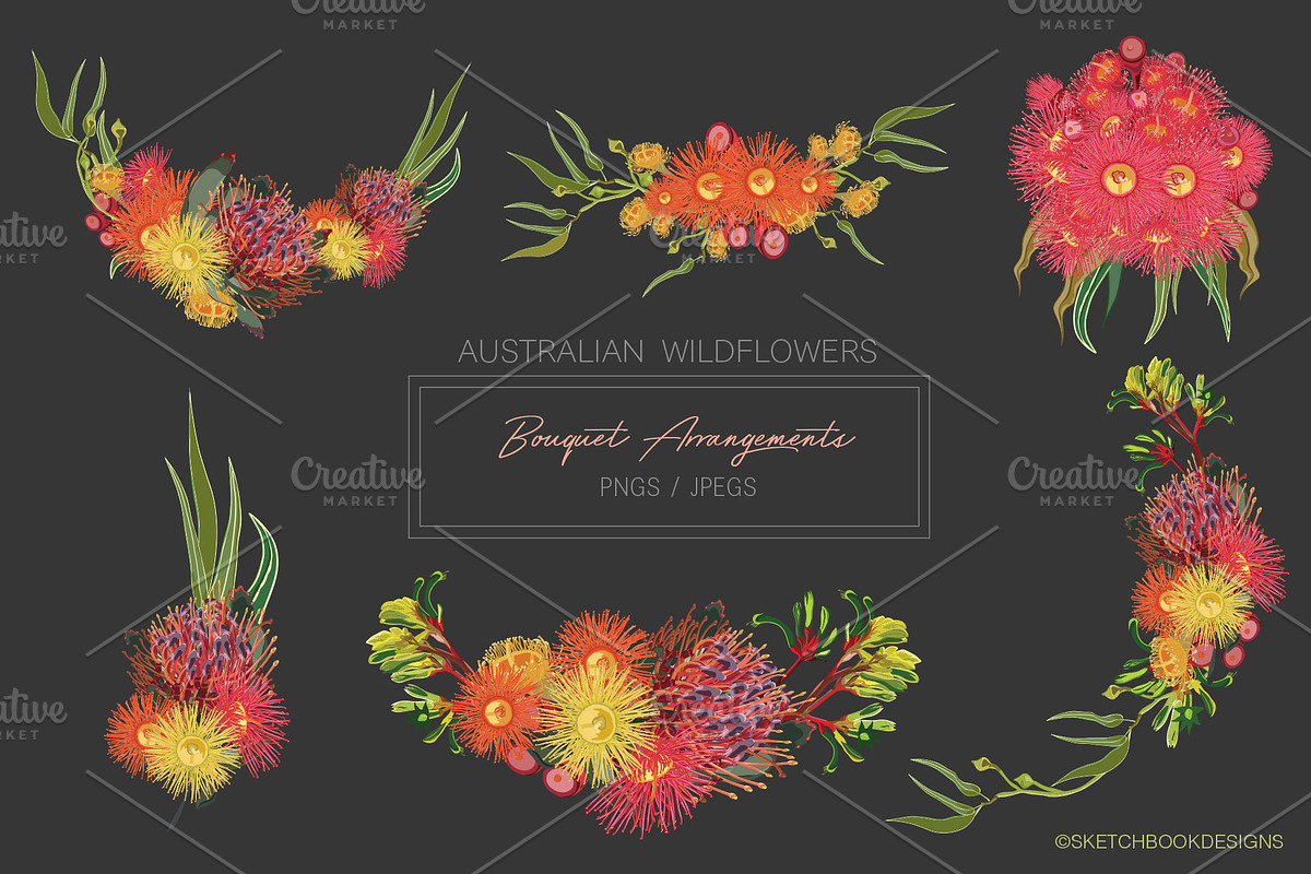 Australian Wild Flowers Collection, an Illustration by Sketchbook Designs (Photo 2 of 10)