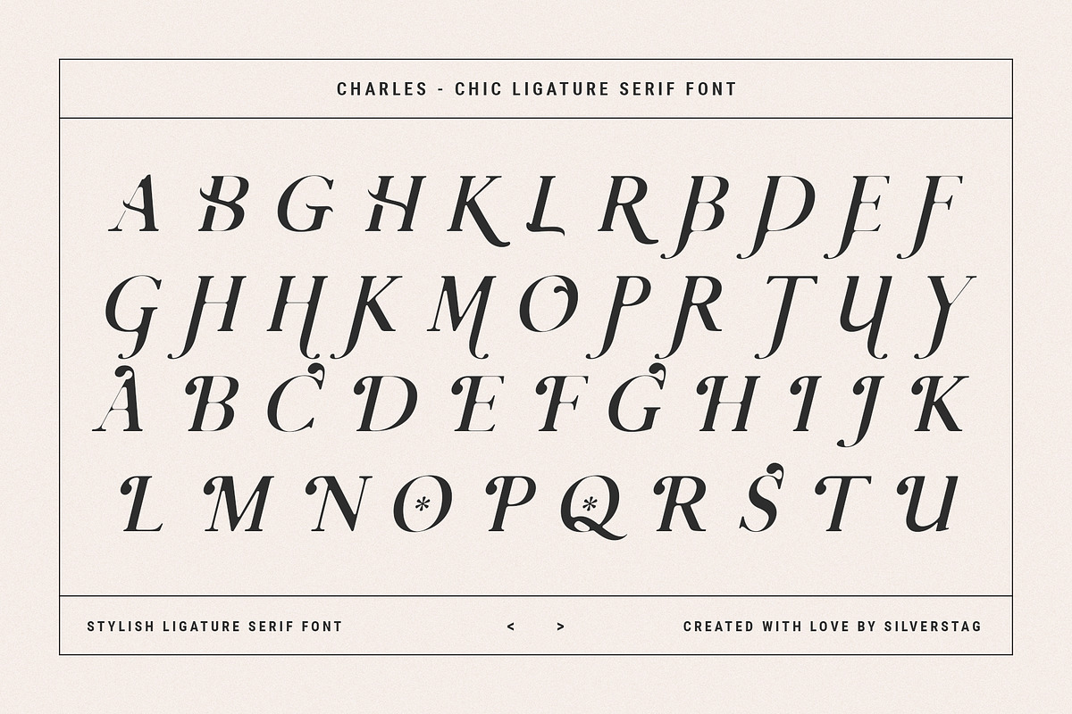 Charles - Ligature Serif Font Family, a Serif Font by SilverStag Type Foundry (Photo 26 of 32)
